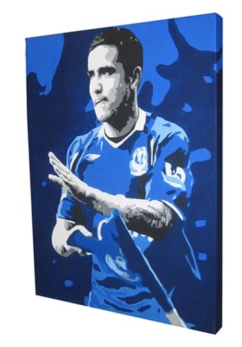 Tim Cahill Flag Assasin