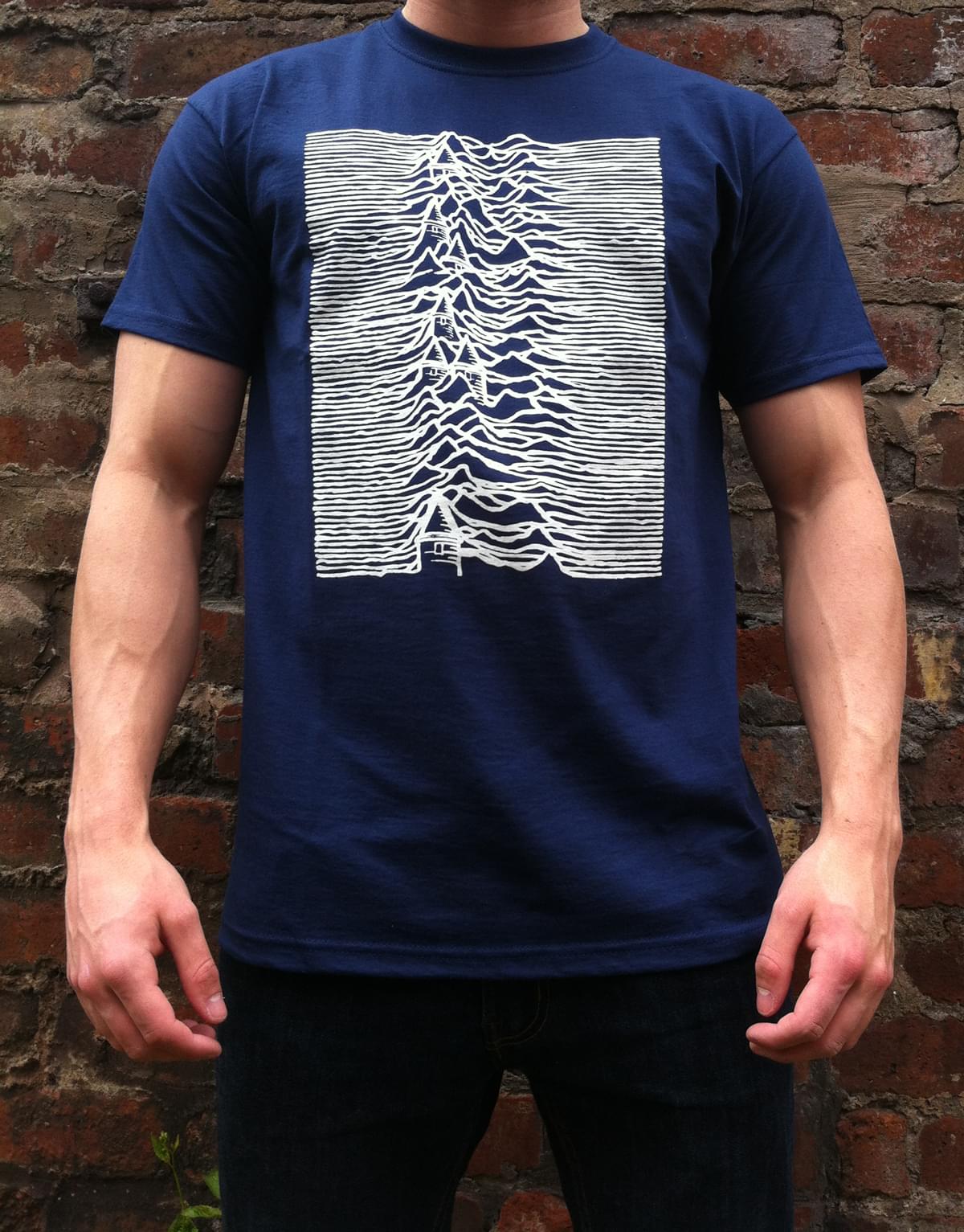 Joy Division Everton Pleasures