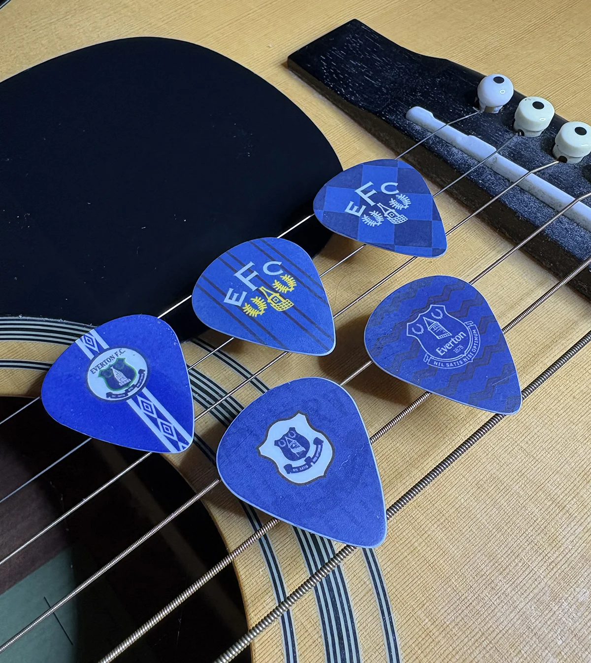 Guitar Plectrums